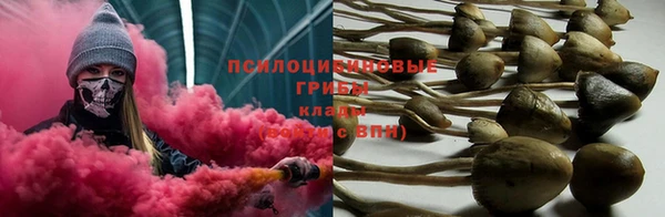 spice Нягань