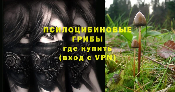 каннабис Няндома